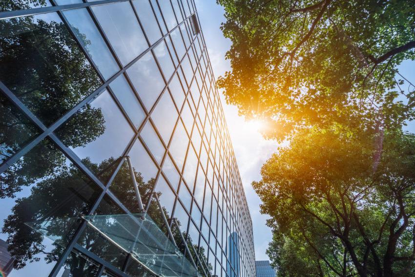 Looking up at a glass modern office building, with sunlight coming through green leaves of a nearby tree